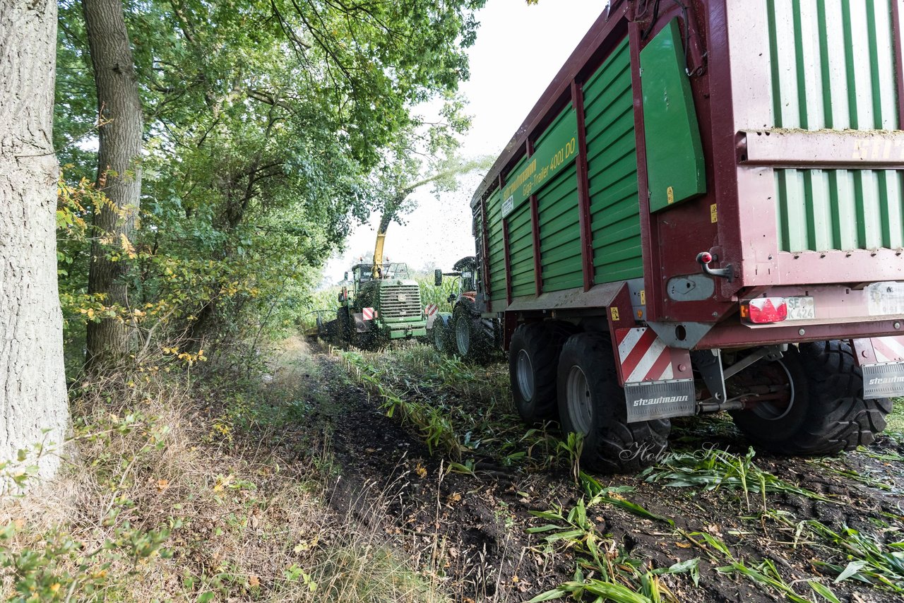 Bild 187 - Maisernte